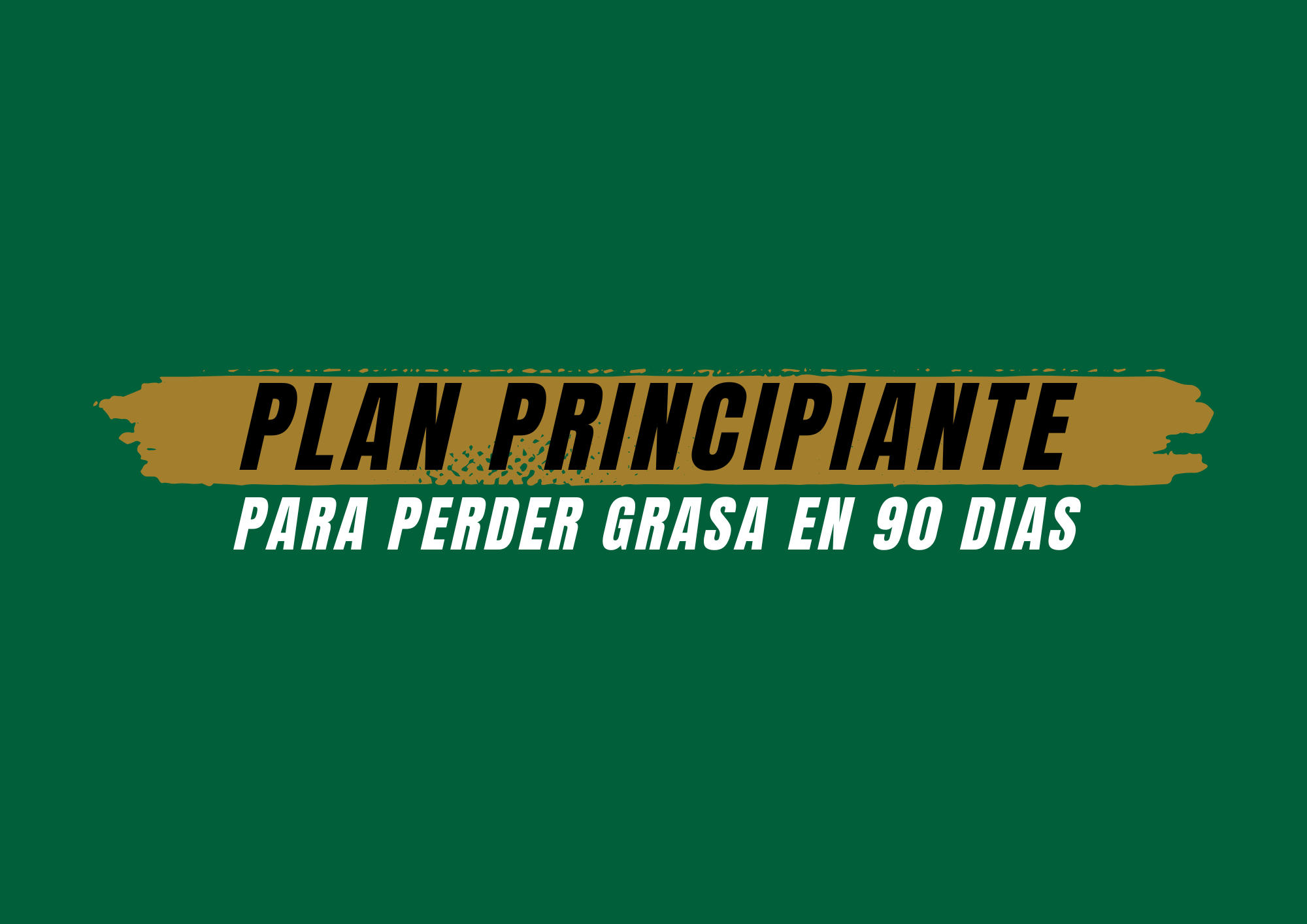 Rutina para perder grasa en 90 dias